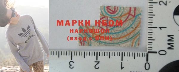 прущие грибы Аркадак