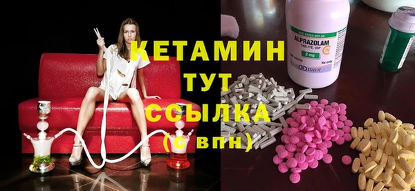 прущие грибы Аркадак