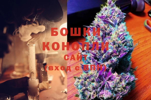 прущие грибы Аркадак