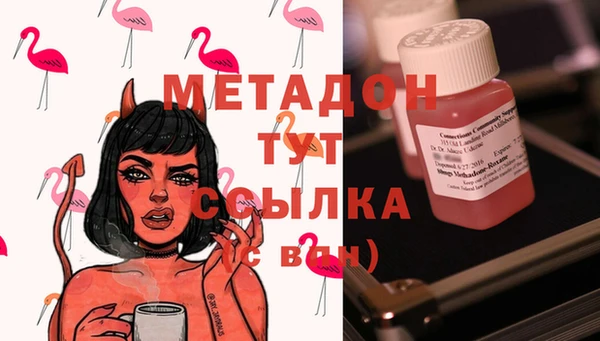 прущие грибы Аркадак