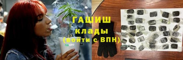 прущие грибы Аркадак