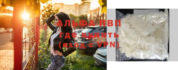 прущие грибы Аркадак
