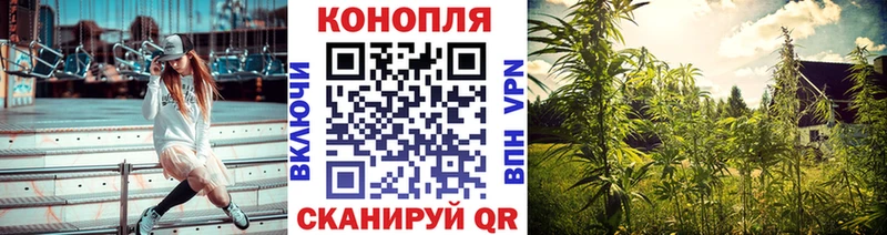 Шишки марихуана White Widow  наркошоп  Починок 